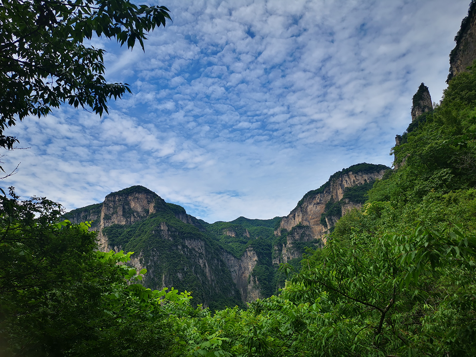 固乐口腔父亲节宠粉福利 | 新乡关山大峡谷,避暑纳凉戏猕猴