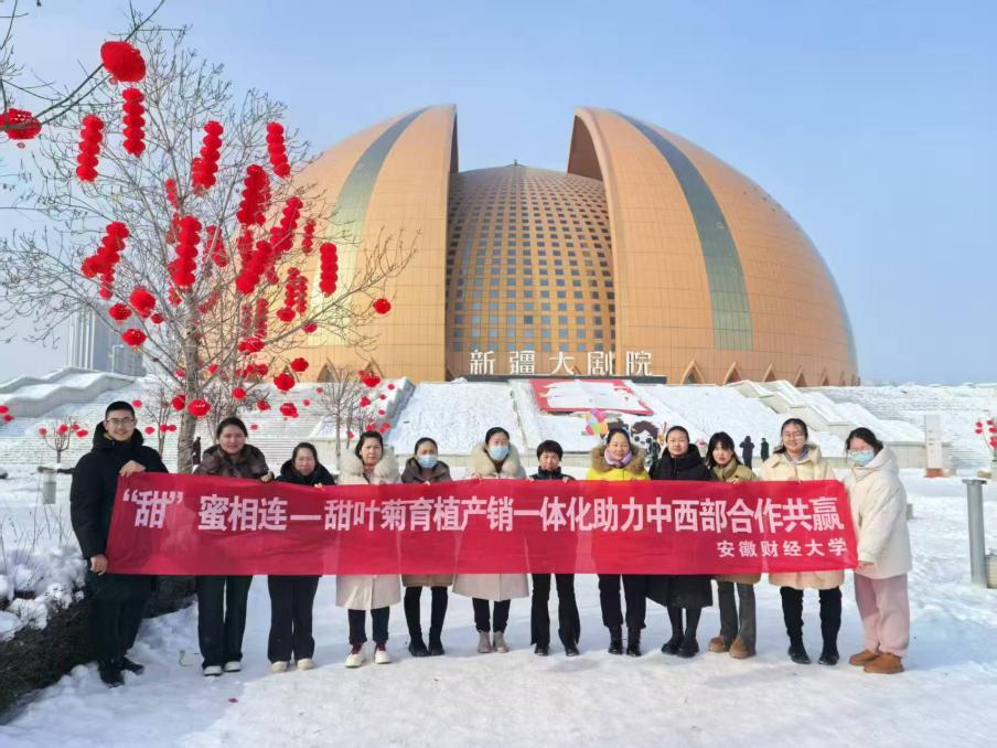 安徽财经大学甜蜜相连队:情系徽疆,力学笃行甜蜜征程