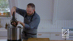 Andrew - How to Lobster-007 -  00_00_00-00_00_03 00_00_00-00_00_30.gif