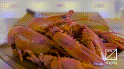 Andrew - How to Lobster-007 00_00_00-00_00_30.gif
